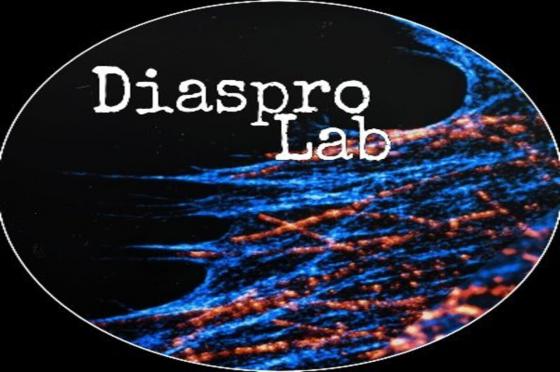 Diasprolab1234x819pxls